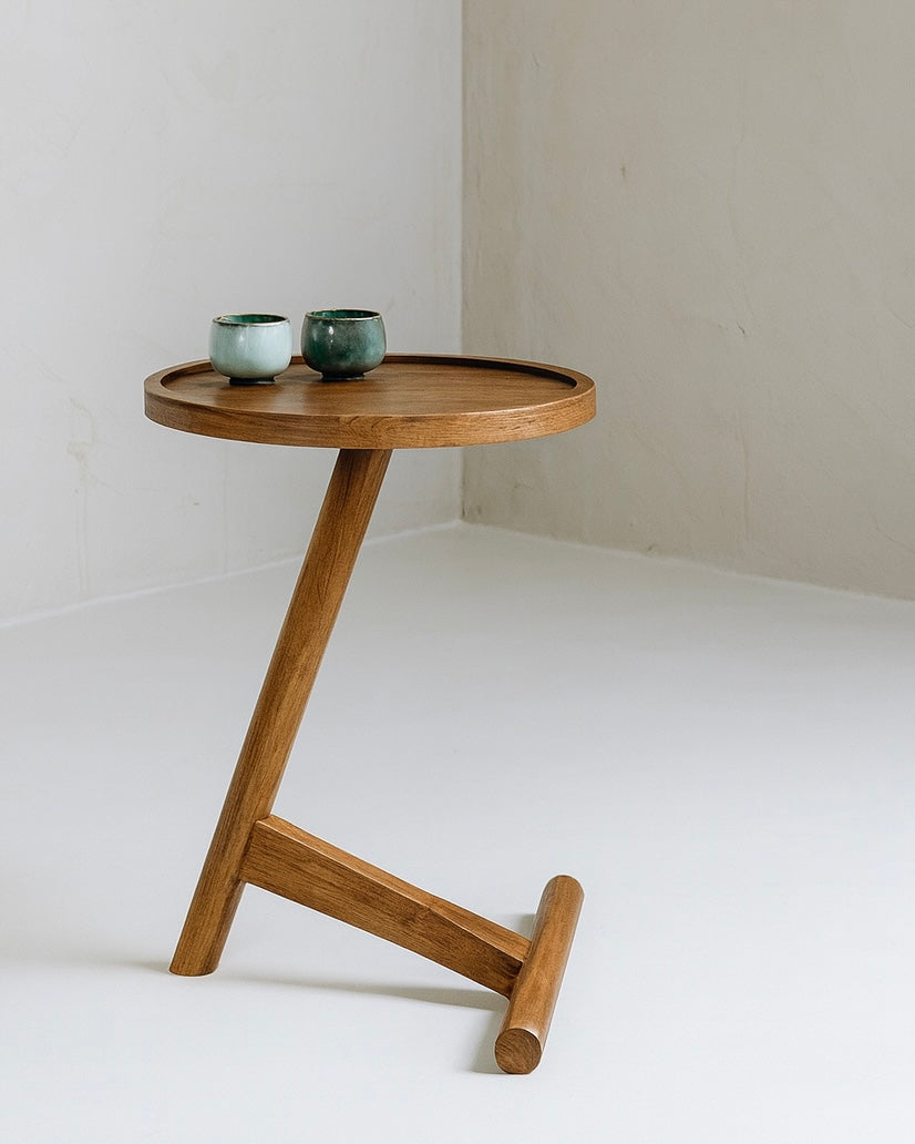 נשכן צד דגם סול