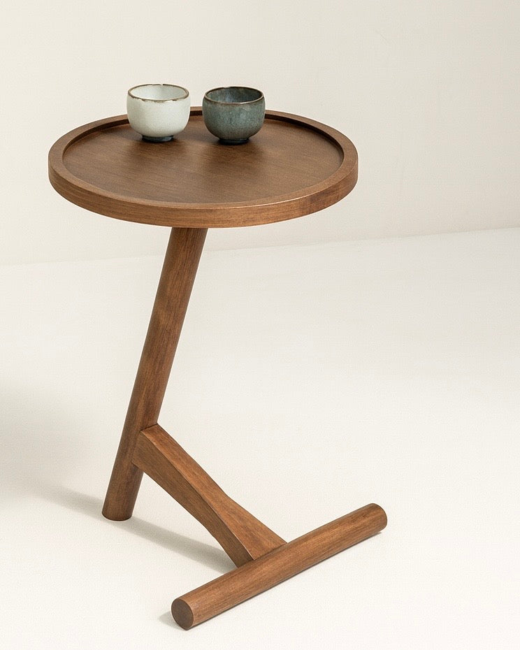 נשכן צד דגם סול